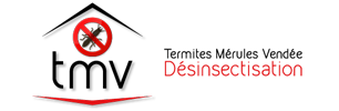 Termites Mérules Vendée